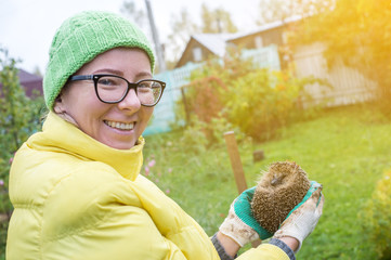 Hedgehog in the hands of a woman