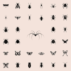 long-legged spider icon. insect icons universal set for web and mobile
