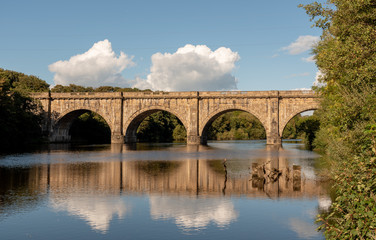 Lune Aqueduct - Bridge over Water with Bird