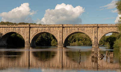 Lune Aqueduct - Bridge over Water with Bird