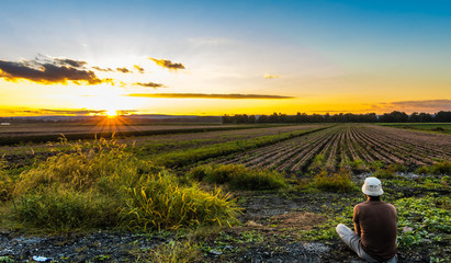 Watching the sunset in late summer over farmlands in the black dirt region of Pine Island, New York