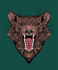 image of an angry tasmanian devil.