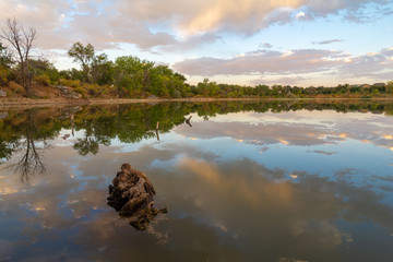 Sunset in the Wheat Ridge Green Belt, along the Clear Creek Trail, Wheat Ridge Colorado, USA.