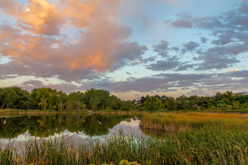 Sunset in the Wheat Ridge Green Belt, along the Clear Creek Trail, Wheat Ridge Colorado, USA.