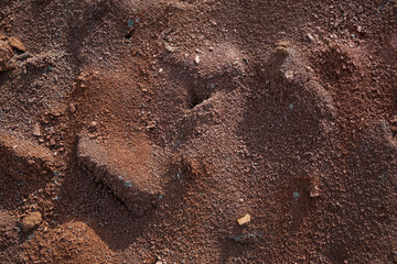 Red earth or soil background. Tropical laterite soil  background of red clay. Dry Orange surface, Picture of natural disaster. Drought land Caused by global warming and deforestation.