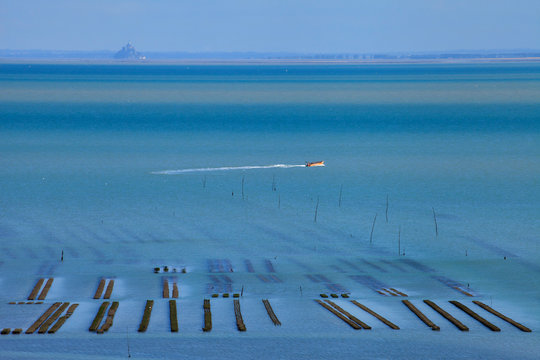 Cancale, Baie du Mont-saint-michel, Parcs &agrave; hu&icirc;tres, 
