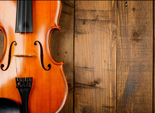 violin in wood background