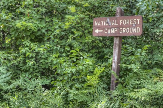 Chequamegon-Nicolet National Forest In Northern Wisconsin