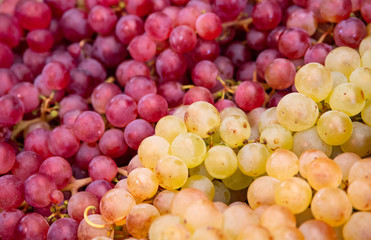 Weintrauben rot und weiss