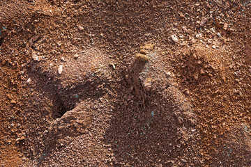 Red earth or soil background. Tropical laterite soil  background of red clay. Dry Orange surface, Picture of natural disaster. Drought land Caused by global warming and deforestation.