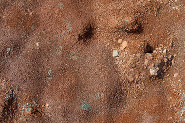 Red earth or soil background. Tropical laterite soil  background of red clay. Dry Orange surface, Picture of natural disaster. Drought land Caused by global warming and deforestation.