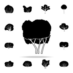 engine tree icon. Plants icons universal set for web and mobile