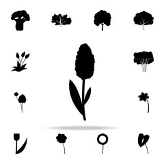 hyacinth icon. Plants icons universal set for web and mobile