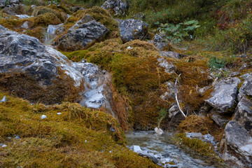 Naklejka na ściany i meble A mountain stream in autumn
