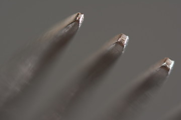 macro of fork tines