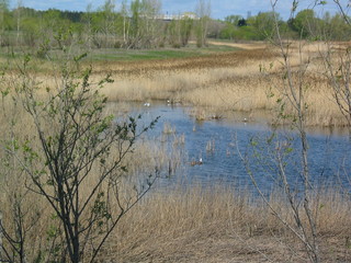Птичья гавань