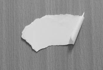 pieces of torn paper