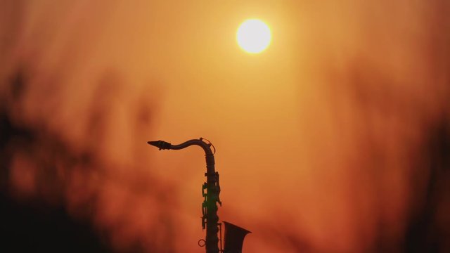 Sunshine and saxophone