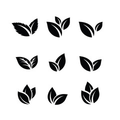 Set of Green Leaf Logo design inspiration vector icons