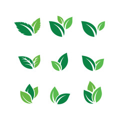 Set of Green Leaf Logo design inspiration vector icons