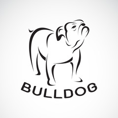 Obraz premium Vector of bull dog design on white background. Pet. Animal. Easy editable layered vector illustration.