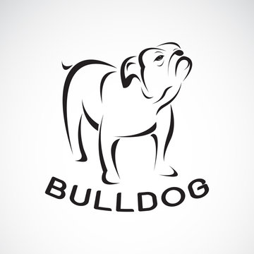 Vector of bull dog design on white background. Pet. Animal. Easy editable layered vector illustration.