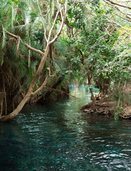 Naklejka premium hot spring water