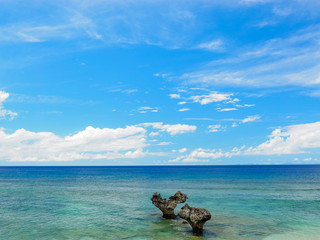 Fototapeta premium ハート岩