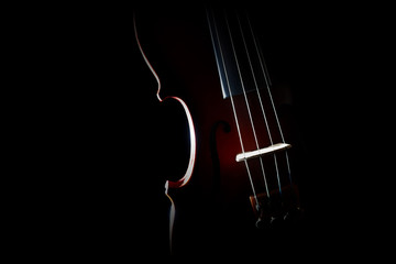 Violin orchestra musical instruments