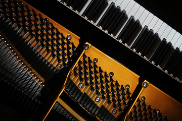 Grand piano strings keyboard close up