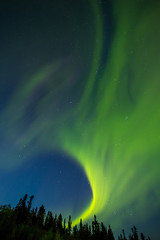 秋のアラスカのオーロラ Aurora Alaska autumn
