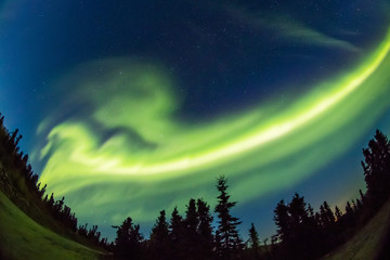 秋のアラスカのオーロラ Aurora Alaska autumn
