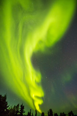 秋のアラスカのオーロラ Aurora Alaska autumn
