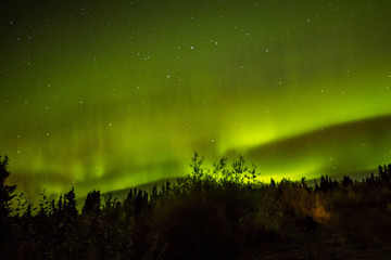 秋のアラスカのオーロラ Aurora Alaska autumn
