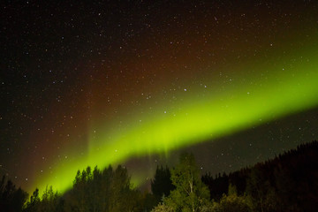 秋のアラスカのオーロラ Aurora Alaska autumn
