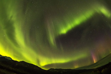 秋のアラスカのオーロラ Aurora Alaska autumn
