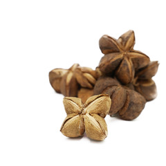 SACHA INCHI on white background