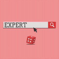 Word writing text Expert. Business concept for person who is very knowledgeable about or skilful in particular area.