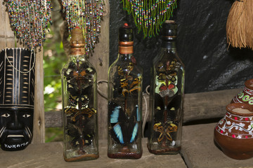 mariposas en la botella