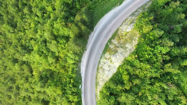aerial view of a contry road in wild pinetree  forest