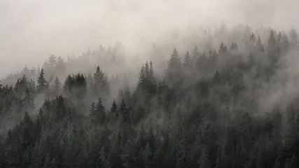 Papier Peint photo Lavable Forêt dans le brouillard Montagne brumeuse