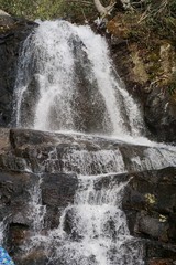 waterfall in the forest