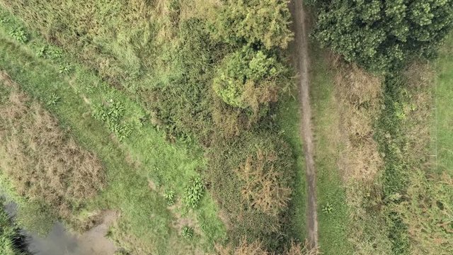 Aerial facing down view, forward move. Drone fly over narrow path to old small sandstone roman bridge and grass, overgrown water pond in english countryside.