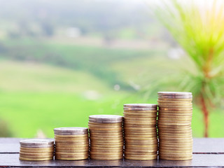 investment concept,coins stack on wooden table with nature background