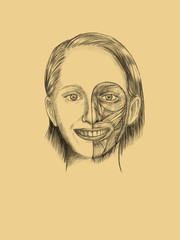 Cara sonrisa musculo