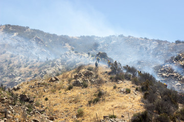 Firefighters battle a blaze along the mountains near El Cajon pass in Southern California