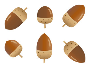 どんぐり © Rica Nohara