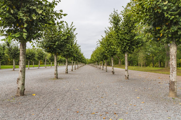 ドロットニングホルム宮殿の庭園