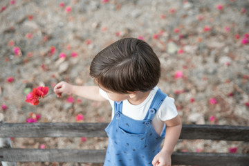 Naklejka premium Cute baby boy toddler with romper - In the garden on the bench holding flower..