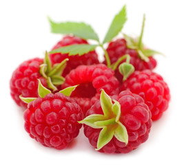Ripe red raspberries.